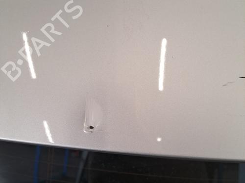 Used Tailgate Tailgate RENAULT SCÉNIC IV (J9_) 1.5 dCi 110 (110 hp) 32021919 32021919