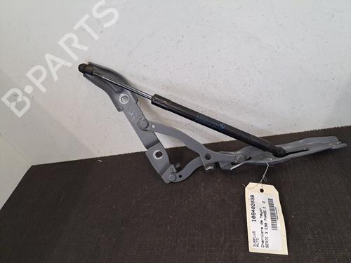 Hinge/Door check strap BMW 3 (E90) 316 d | BP28392166C146 