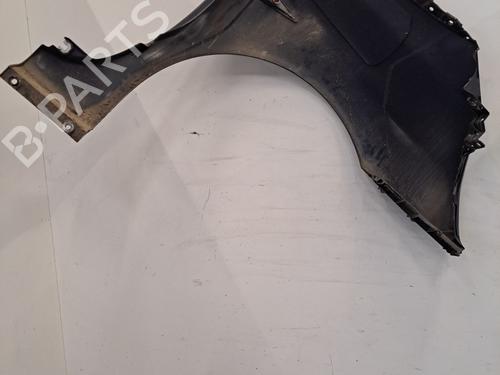 Left front fenders RENAULT ESPACE IV (JK0/1_) 2.0 dCi (JK01, JK02, JK1J, JK1K, JK1H) | BP30391805C41