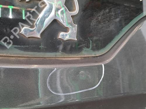 Used Tailgate Tailgate PEUGEOT 5008 (0U_, 0E_) 1.6 HDi (110 hp) 40178077 40178077