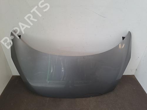 Used Hood RENAULT SCÉNIC III (JZ0/1_) 1.6 dCi (JZ00, JZ12) (130 hp) 29072223