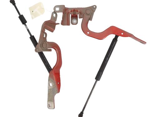 Used Hinge/Door check strap Hinge/Door check strap RENAULT CAPTUR I (J5_, H5_) 1.2 TCe 120 (118 hp) 36505539 36505539