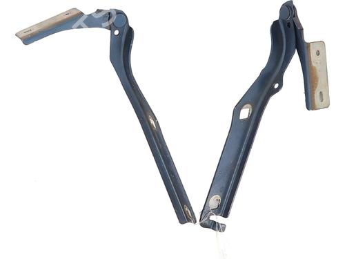 hingedoor-check-strap-citroen-berlingo-multispace-b9-2008-36395334 main image