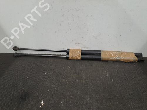 Tailgate lift support PEUGEOT 308 SW II (LC_, LJ_, LR_, LX_, L4_) 1.6 BlueHDi 120 | BP28403922C138 