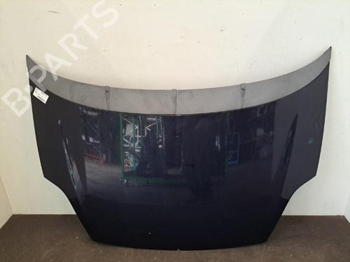 Hood FIAT GRANDE PUNTO (199_) 1.3 D Multijet | BP28409558C1