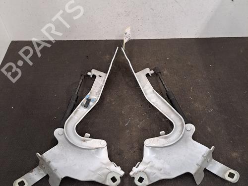 hingedoor-check-strap-renault-scenic-iii-jz01_-2008-2009-2010-2011-2012-2013-2014-2015-2016-29983084 main image