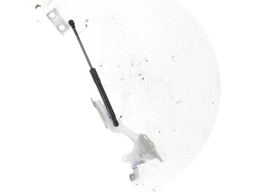 hingedoor-check-strap-renault-trafic-iii-van-fg_-2014-31185237 main image