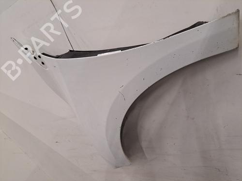 Left front fenders RENAULT MEGANE III Hatchback (BZ0/1_, B3_) 1.5 dCi (BZ0C) | BP31572569C41