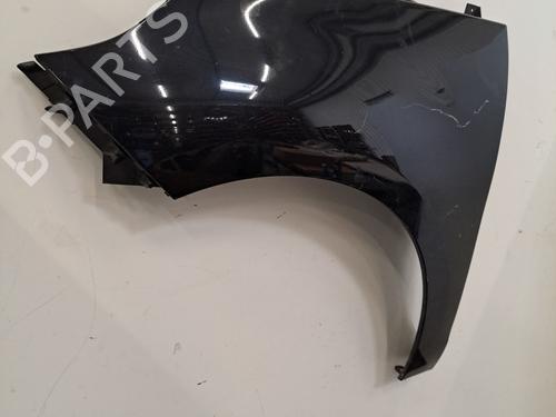 Left front fenders RENAULT SCÉNIC III (JZ0/1_) 1.6 dCi (JZ00, JZ12) | BP28400797C41 