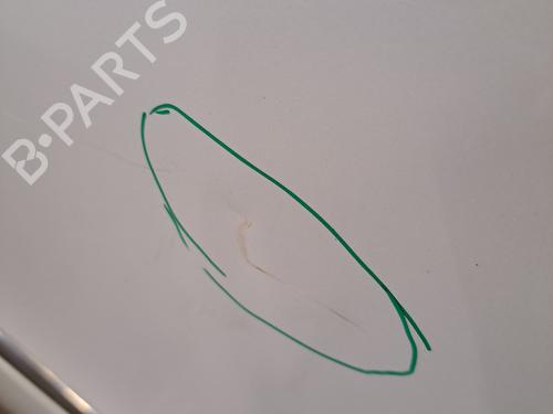 Left rear door RENAULT SCÉNIC III (JZ0/1_) 1.5 dCi (JZ02, JZ0R) | BP29749263C4