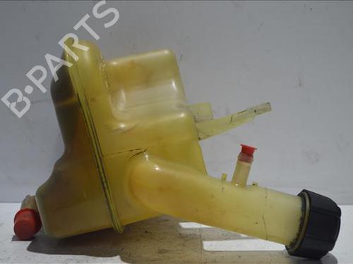 Used Expansion tank Expansion tank RENAULT LAGUNA II (BG0/1_) 1.9 dCi (BG0R, BG0E) (100 hp) 25865027 25865027