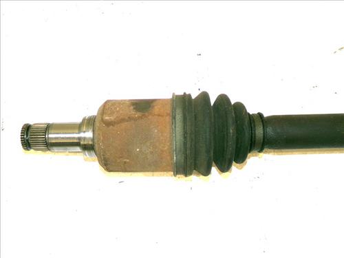  - Image 2
