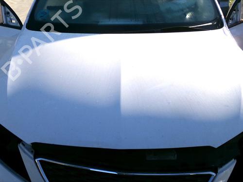 Used Hood Hood SEAT TOLEDO IV (KG3) 1.6 TDI (115 hp) 36449102 36449102
