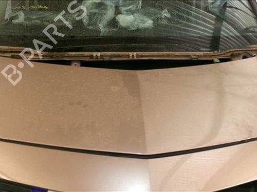 hood-renault-modus-grand-modus-fjp0_-2004-28488401 main image