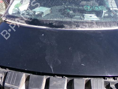 hood-renault-scenic-ii-jm01_-2003-2004-2005-2006-2007-2008-2009-2010-29423457 main image