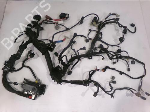 Used Wiring harness Wiring harness RENAULT CAPTUR II (HF_) TCe 140 (HFN0) (140 hp) 33423860 33423860