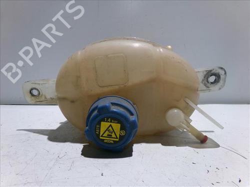 expansion-tank-citroen-nemo-mpv-2009-24558867 main image