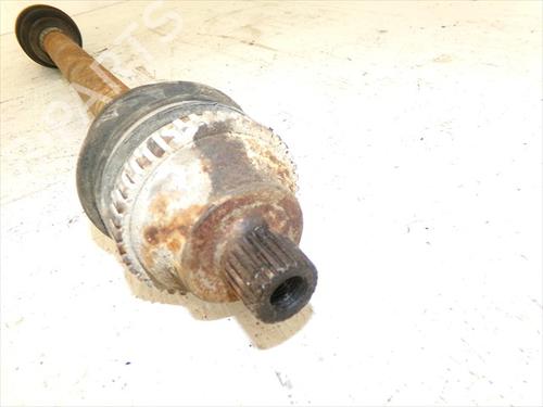  - Image 4