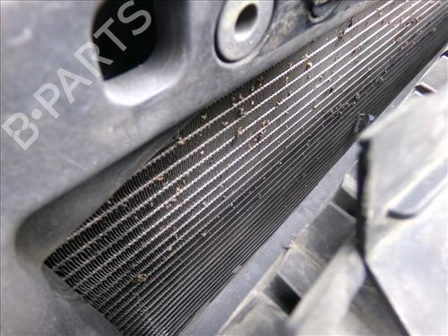 Used AC radiator AC radiator DS DS 3 / DS 3 CROSSBACK (UR_, UC_, UJ_) 1.5 BlueHDi 100 (UCYHYJ) (102 hp) 31020174 31020174