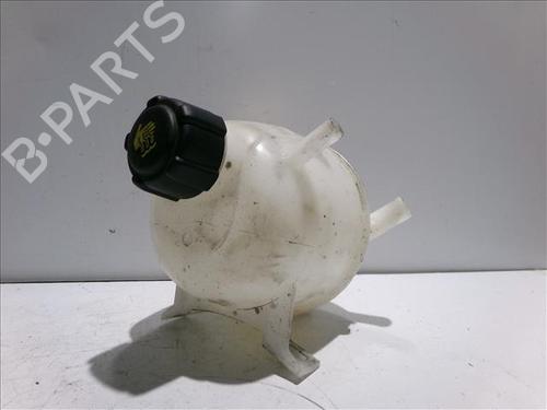 expansion-tank-renault-scenic-ii-jm01_-2003-2004-2005-2006-2007-2008-2009-2010-24564266 main image