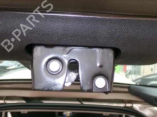 Used Tailgate lock Tailgate lock RENAULT CLIO III (BR0/1, CR0/1) 1.2 16V (BR02, BR0J, BR11, CR02, CR0J, CR11) (75 hp) 30908395 30908395