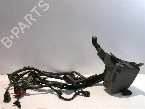 Used Fuse box Fuse box FORD FIESTA VI Van 1.4 TDCi (68 hp) 24560181 24560181