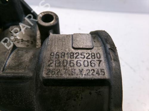 Egr PEUGEOT 308 I (4A_, 4C_) 2.0 HDi | BP32140704M69 