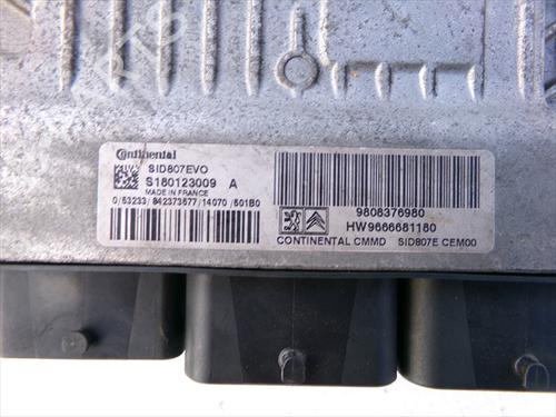 BP31241838O1 main image