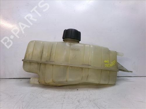 expansion-tank-renault-clio-iii-br01-cr01-2005-2006-2007-2008-2009-2010-2011-2012-2013-2014-24860608 main image