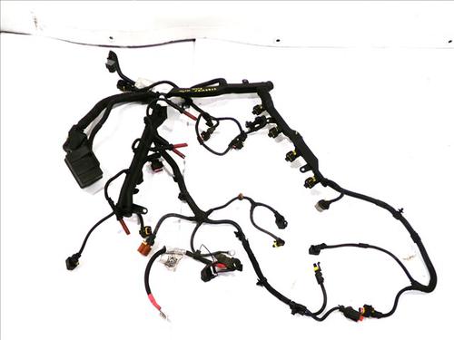 Used Wiring harness Wiring harness FIAT 500L (351_, 352_) 1.6 D Multijet (199LYD1B) (105 hp) 33422854 33422854