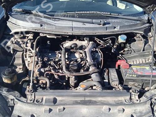 Front right seatbelt NISSAN PRIMERA Hatchback (P12) 1.9 dCi | BP24977064I25 - Image 7