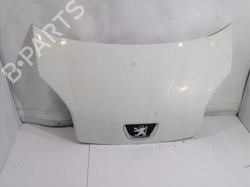 hood-peugeot-bipper-aa_-2008-24561371 main image