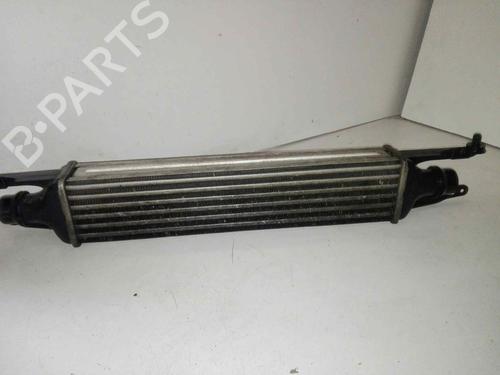 Intercooler OPEL CORSA D Hatchback Van (S07) [2006-2014]  29000006