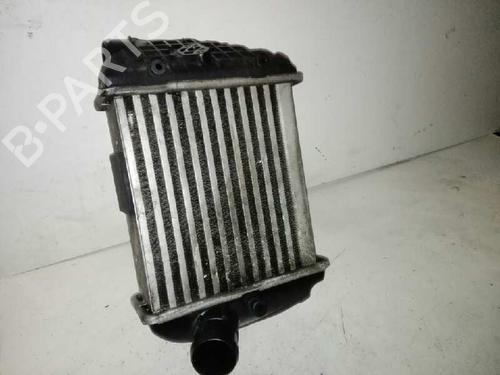 Ladeluftkühler für AUDI A4 B7 Avant (8ED) 2.5 TDI (163 hp) 28999964
