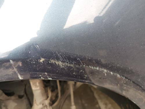 Left front fenders VW JETTA III (1K2) 1.9 TDI | BP30147598C41 