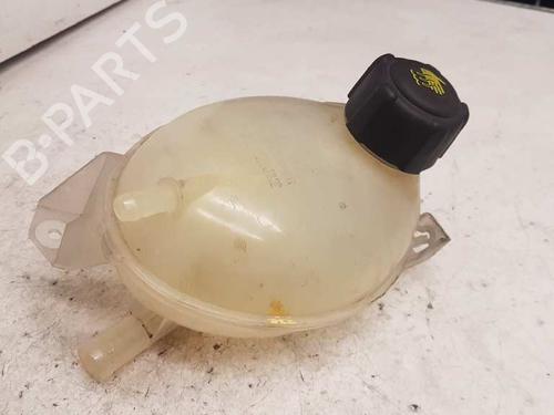 Used Expansion tank DACIA DOKKER MPV (KE_) [2012-2021]  28978675
