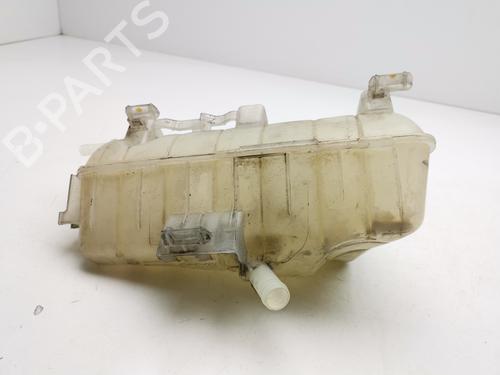 Expansion tank RENAULT KANGOO / GRAND KANGOO II (KW0/1_) 1.5 dCi 90 (KW05, KW08, KW0G, KW11) | BP29731563C120 