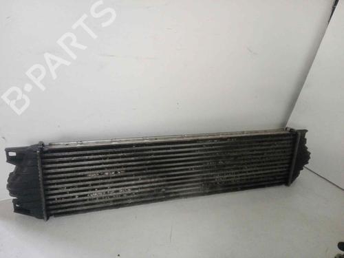 Used Intercooler NISSAN INTERSTAR Van (X70) [2002-2025]  29000014