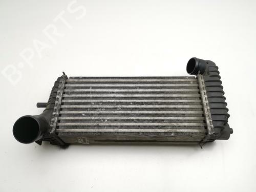 Ladeluftkühler für FORD TOURNEO CONNECT / GRAND TOURNEO CONNECT V408 MPV [2013-2025]  28999976