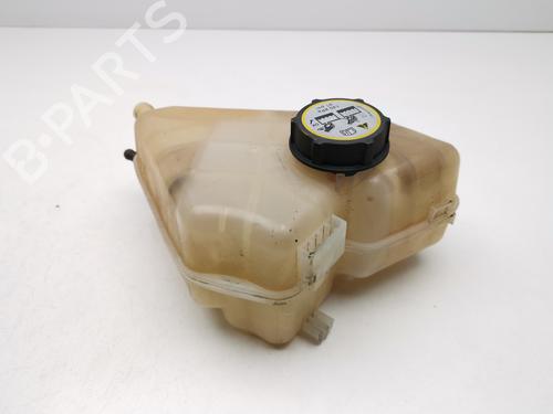 Expansion tank FORD FIESTA VI (CB1, CCN)  | BP29185755C120 