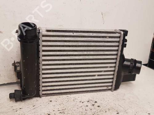 Used Intercooler DACIA SANDERO II [2012-2025]  28999999