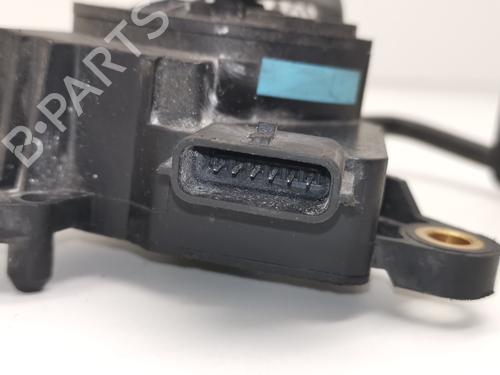Pedal RENAULT CLIO III (BR0/1, CR0/1)  | BP28981313I4 