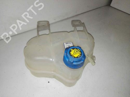 Used Expansion tank FIAT GRANDE PUNTO (199_) 1.3 D Multijet (75 hp) 28978031