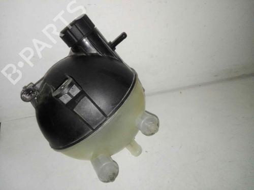 Expansion tank MERCEDES-BENZ A-CLASS (W169) A 180 CDI (169.007, 169.307) | BP28980011C120 