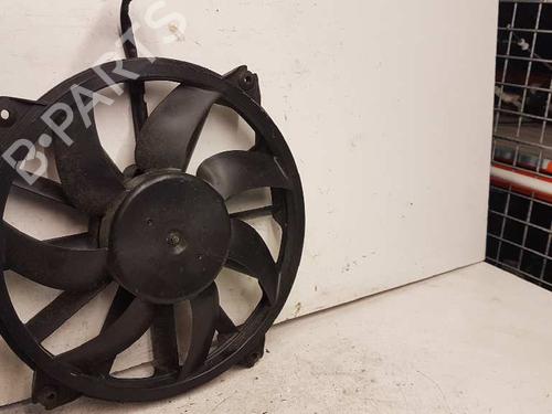 Used Radiator fan CITROËN C4 Picasso I MPV (UD_) 2.0 HDi 150 (150 hp) 28982377