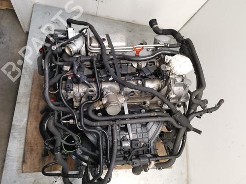 Engine VW GOLF VI (5K1)  | BP31631013M1  - Image 5