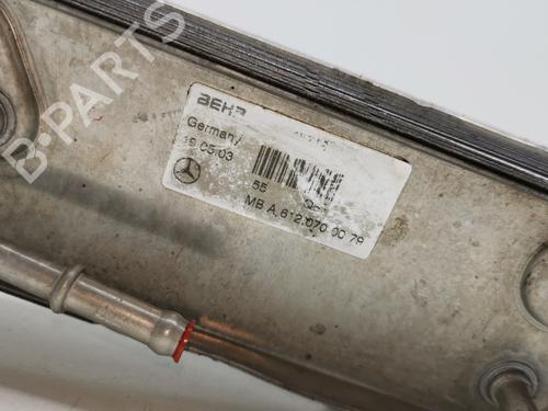 Oil radiator MERCEDES-BENZ SPRINTER 4-t Bus (B904) 416 CDI (904.662, 904.663) | BP29810909M33