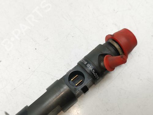 Injector RENAULT MEGANE II Saloon (LM0/1_)  | BP28997425M100 