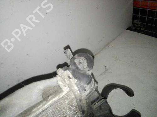 Køler FORD FOCUS II (DA_, HCP, DP) | BP28985819M31