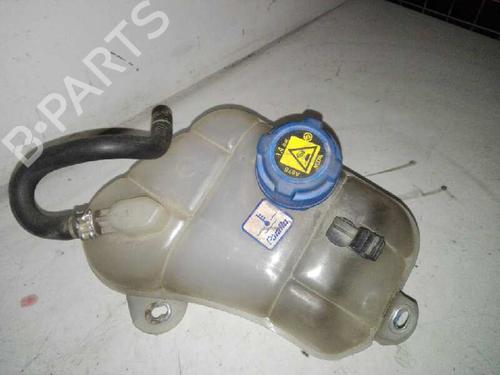 Used Expansion tank FIAT BRAVO II (198_) 1.6 D Multijet (198AXH1B) (105 hp) 28978048